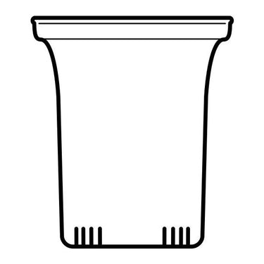 Trendglas JENA Glasfilter groß - Trendglas JENA Glasfilter groß | Trendglas Jena - exklusiv und hochwertig | SmacoGlas