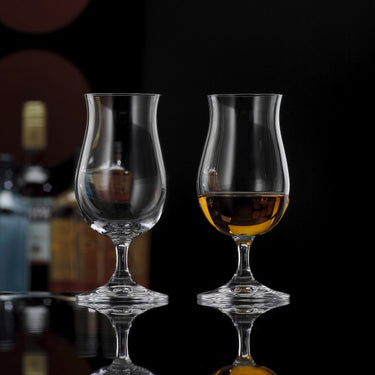 Snifter Glas BAR SELECTION - 2er Set - Snifter Glas BAR SELECTION - 2er Set | Glas Bohemia Selection - exklusiv und hochwertig | SmacoGlas